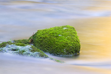 Stein mit Moos im Fluss