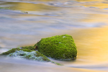 Stein mit Moos im Fluss