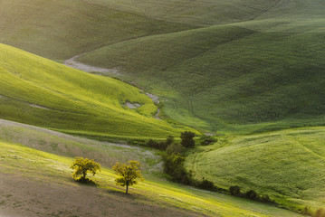 Crete Senesi place in and around Siena and Asciano in spring aur