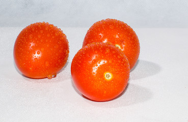 closeup of two juicy tomatoes with drops