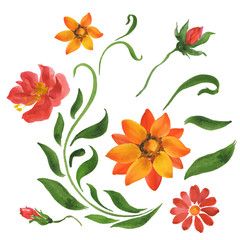decorative flowers