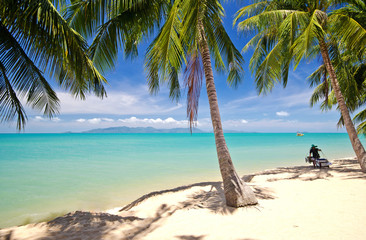 Karibischer Traumstrand mit Palmen :)