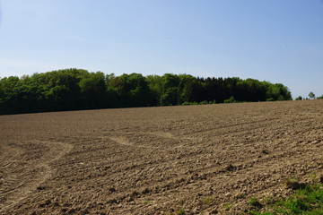 Acker in Niederheiden bei Much