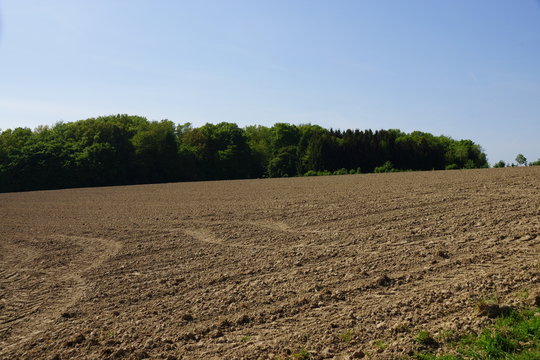Acker in Niederheiden bei Much