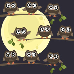 Night owls on branches