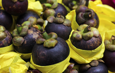 Exotic fruit purple mangosteen