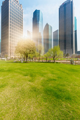 green garden in city