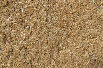 Textura o fondo ocre de pared de adobe