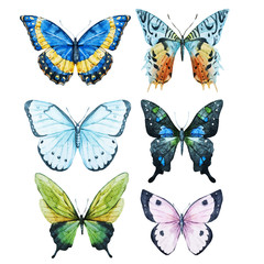 Obraz na płótnie Canvas Watercolor butterflies