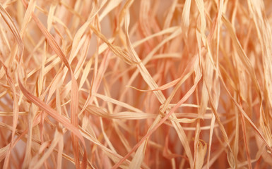 Obraz premium Dry grass