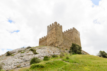 Fototapeta na wymiar Historical fortified castle on a hilltop