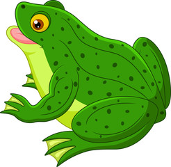 Frog cartoon
