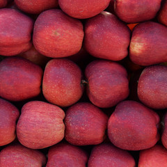 red apples fruit background