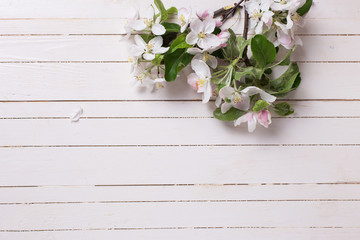 Background  with apple blossom