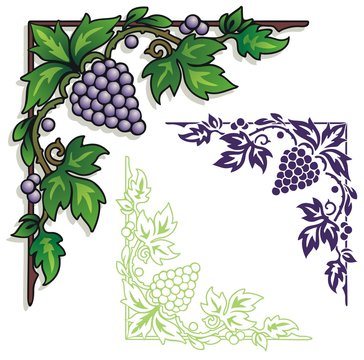 Corner ornament of grapes with leaves and vines