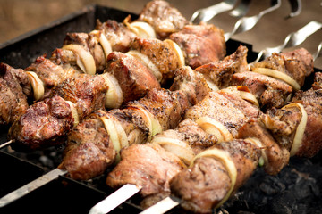 kebabs on a skewer