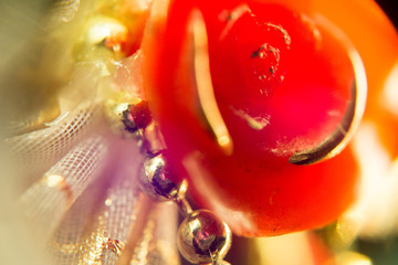 Supermacro of Christmas Decorations