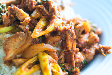 SPICY STIR FRIED PORK WITH RED CURRY