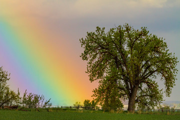 Colorful Optic Rainbow Sky