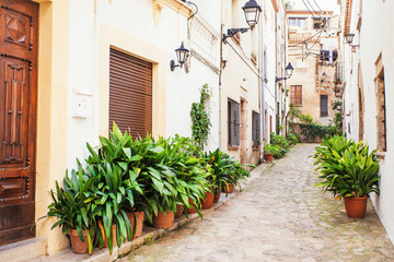 Beautiful street with flower pots in Tossa de Mar, Spain