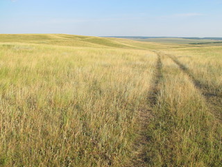 Dirt road in the burnt feather grass steppe against a blue sky