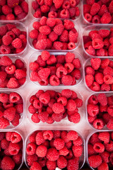 Raspberries