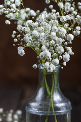 fresh wild meadow white flowers in mason jar