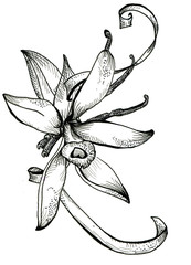 Flower sketch bouquet