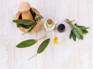 Natural Spa Ingredients  sage essential oil for aromatherapy.