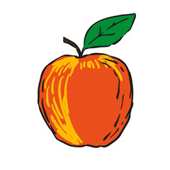 red apple - hand drawn fruits isolated vector