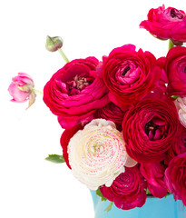 bunch of pink ranunculus flowers
