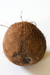 A whole coconut displayed on a white background