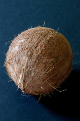 A whole coconut displayed on a dark background