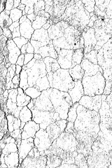 Cracked Earth