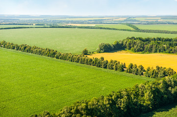 Green and yellow fields from above aerial view