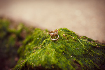 wedding rings bride groom at the sea
