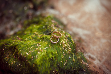 wedding rings bride groom at the sea