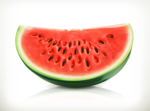 Slice of watermelon, vector icon