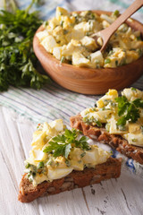 egg salad with onions and mayonnaise closeup. vertical
