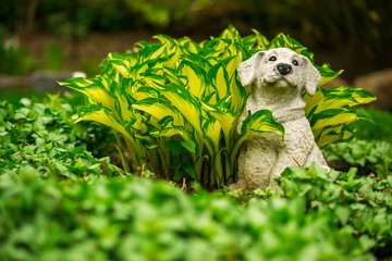 Cute Happy Dog Lawn Ornament in Lush Green Garden