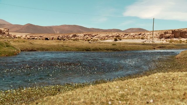 River in Landscape in Bolivia