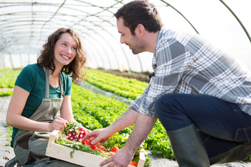 Farmer teaching new employee to gardening