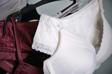 white and vinous lace lingerie hanging on the hanger close up