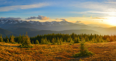 Mountain sunset with meadow and forest