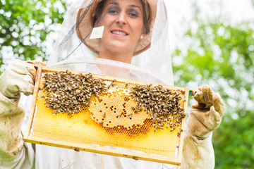 Imkerin zeigt Bienen und Waben