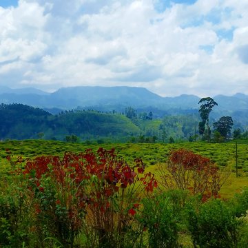 Mountains in Sri Lanka