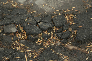 Broken asphalt close up