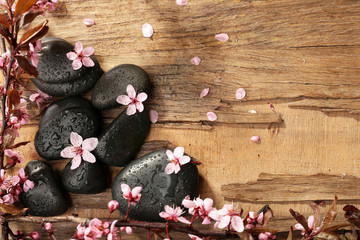 Spa stones with spring flowers on table close up
