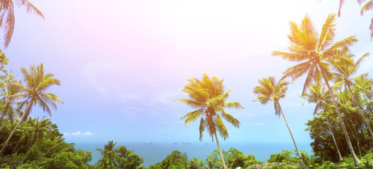 Fototapeta na wymiar Tropical background