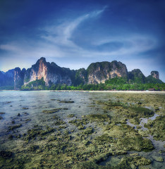 Maya bay Phi phi leh island Thailand
